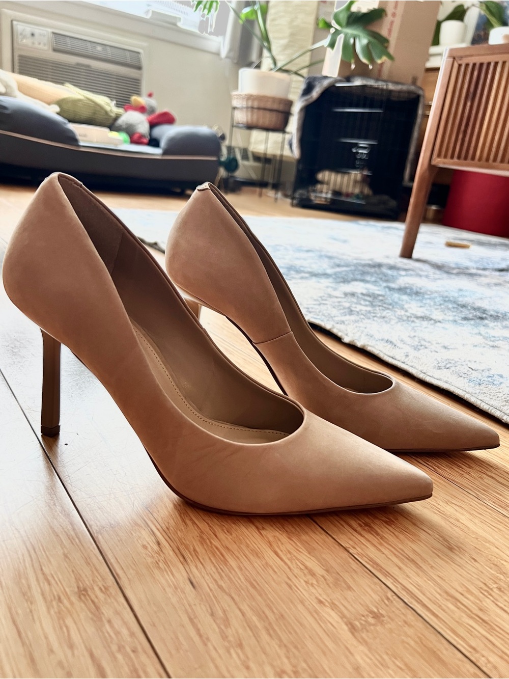 Steve Madden Classie Pointed Toe Stiletto Pumps in Tan Nubuck